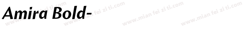 Amira Bold字体转换